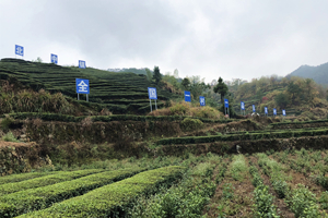 bifa·必发(中国)唯一官方网站